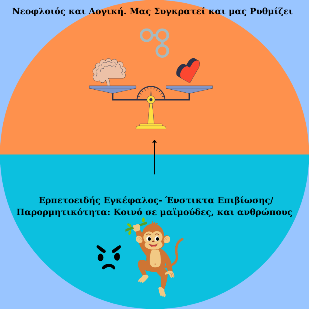 Το να αναγνωρίζουμε τον θυμό μας είναι κρίσιμο για την λήψη σωστών αποφάσεων. Το να αναγνωρίζουμε τον θυμό μας είναι κρίσιμο για την λήψη σωστών αποφάσεων. Όταν δεν τον κατανοούμε βλέπουμε μόνο την απειλή και την αδικία και κινδυνεύουμε να πάρουμε αποφάσεις που υπακούουν στο συναίσθημα, αντί στις Αξίες και στους Στόχους μας. Με σωστή διαχείριση θυμού, μπορώ να αποφασίσω αν αξίζει να συζητήσω ή να αφήσω κάτι, στηριζόμενος στην Λογική και στις Αξίες μου και όχι στον Παρορμητισμό. Έτσι αποφεύγω παρορμητικά λάθη, δίνω προτεραιότητα στο ουσιώδες και διατηρώ υγιείς σχέσεις.